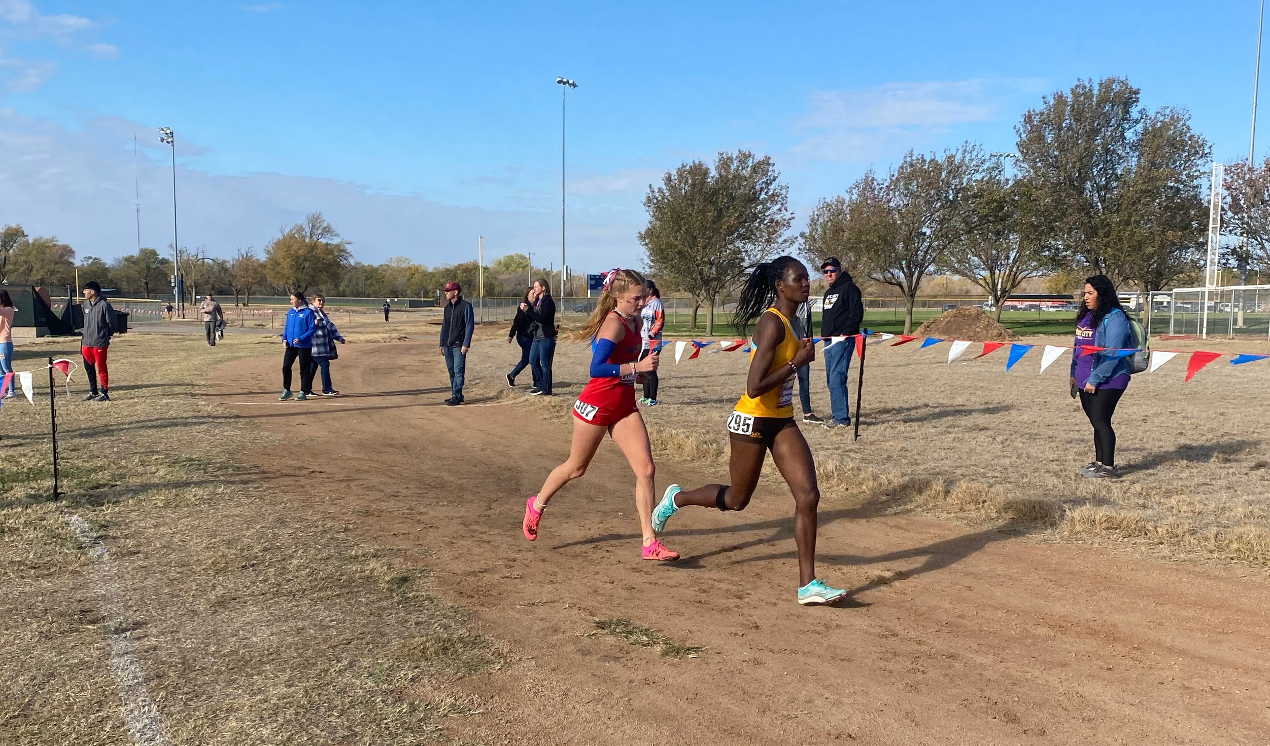 Broncbuster cross country competes at Region VI Championships