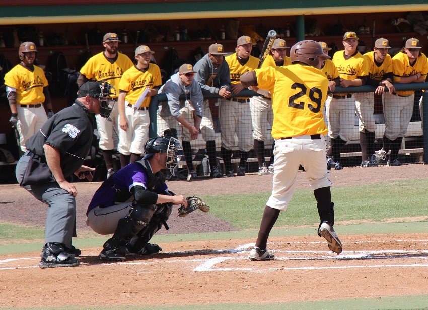 Busters Split with Grizzlies