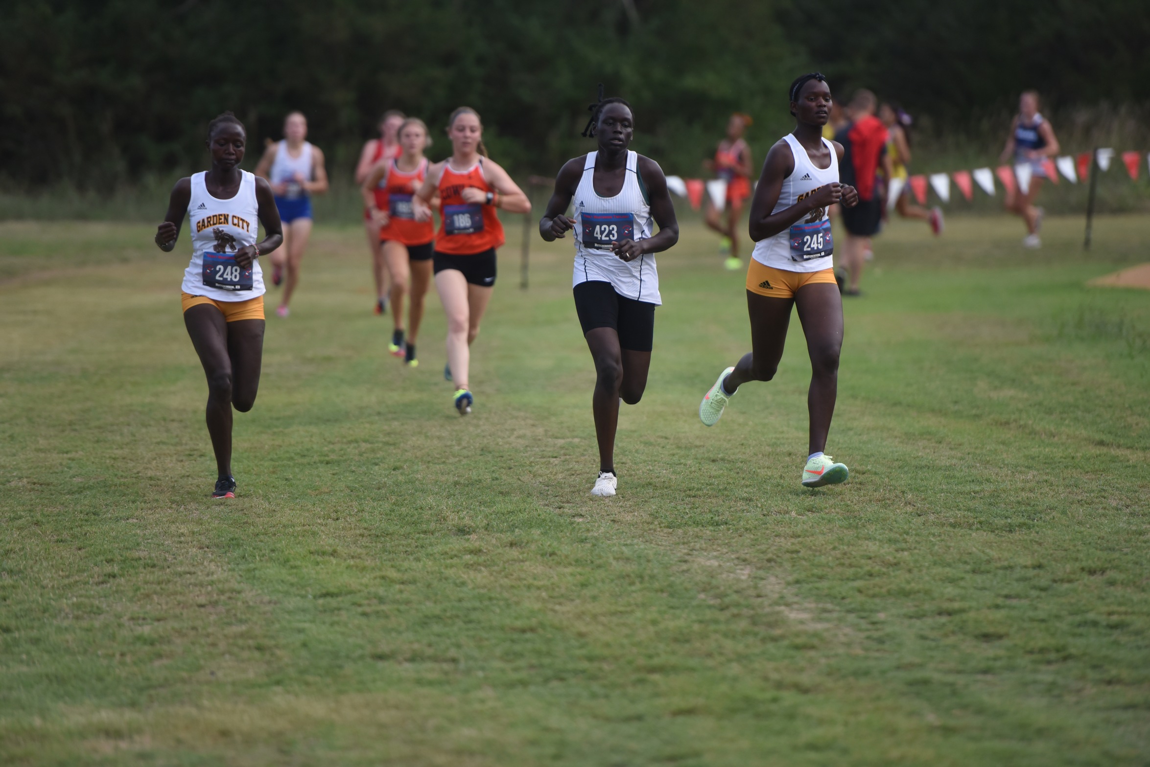 Broncbuster cross country teams crack top 10 of national rankings